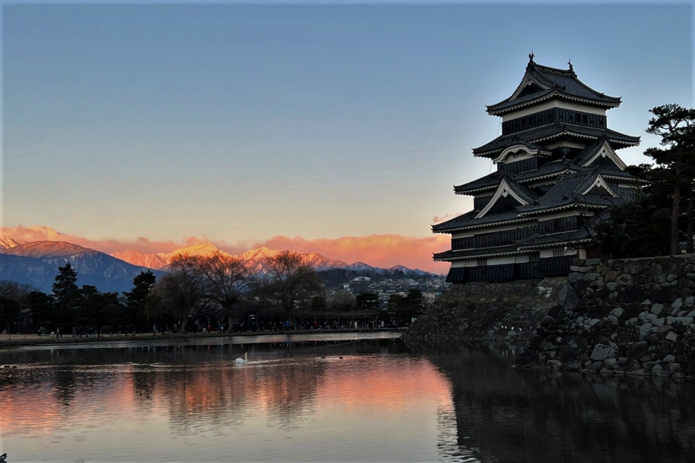 正月用 山本観月 掛け軸 日の出 老松双鶴